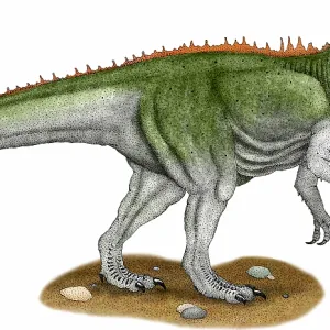 Prehistoric Prints: Dinosaurs