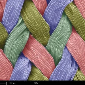 SEM, Fastskin Fabric