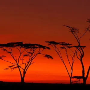 Serengeti National Park