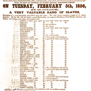 Slave Market Auction, 1856