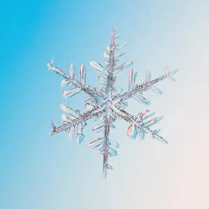 Snowflake