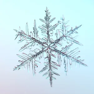 Snowflake Under the Microscope Snowflake Under the Microscope