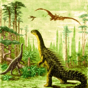 Stégosaure et Compsognathus Dinosaures Stégosaure et Compsognathus Dinosaures