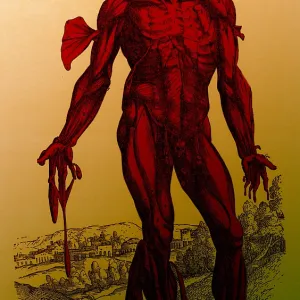 Vesalius De humani Corporis Fabrica