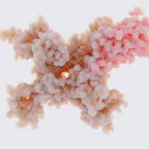 Voltage-gated Sodium Channel in the Open Conformation