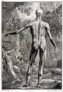 Fine Prints: 18th Century Anatomical Engraving