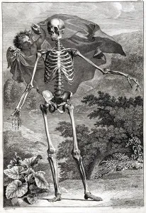 Arts Prints: 18th Century Anatomical Engraving
