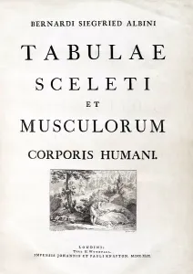 Book Prints: 18th Century Anatomy Book