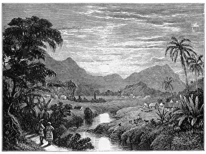 Domain Prints: 19th Century Engraving of Haiti