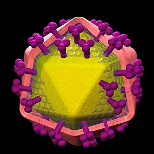 Epidemic Prints: HIV