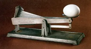 Weights Prints: Acme Egg Grading Scale, 1924