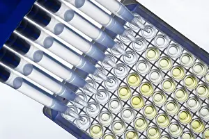 Research Prints: Adding Reagent to Microplate