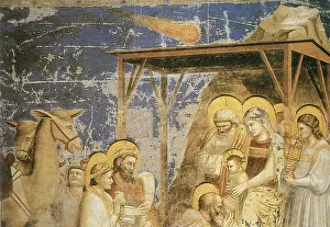 Prophet Prints: Adoration of the Magi, Halley's Comet
