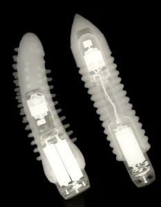 Object Prints: Adult Sex Toys