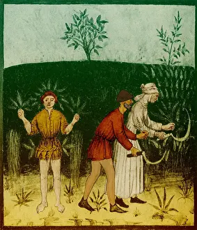 Worker Prints: Agriculture in the 1400s