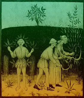 Instrument Prints: Agriculture-1400s