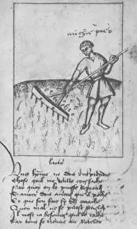 Worker Prints: Agriculture, 15th Century