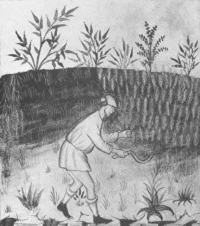 Workers Prints: Agriculture, Medieval Farming