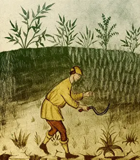 Workers Prints: Agriculture, Medieval Farming