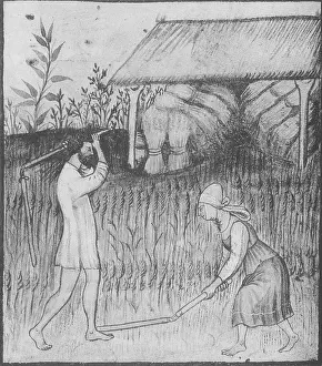 Farmer Prints: Agriculture, Medieval Farming