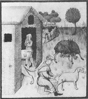 Workers Prints: Agriculture, Medieval Farming