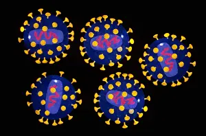 Digital Prints: AIDS Virus