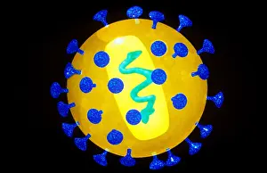 Digital Prints: AIDS Virus