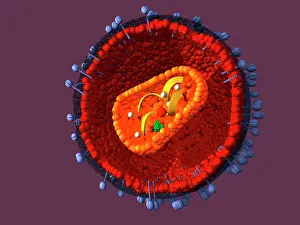 Pathological Prints: AIDS virus, artwork