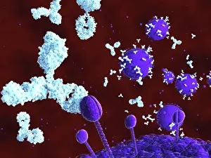 Pathological Prints: AIDS virus, artwork