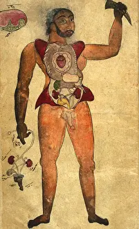 Arabic Prints: Akbar's Medicine, Persian Anatomical Man