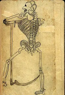 Arabic Prints: Akbar's Medicine, Persian Anatomical Skeleton