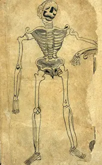 Arab Prints: Akbar's Medicine, Persian Anatomical Skeleton