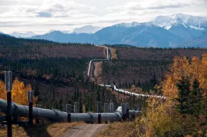 System Prints: Alaska Oil Pipeline, Near Denali Highway, Alaska