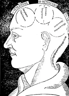 Bishop Prints: Albertus Magnus, Brain Functions