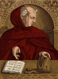 Bishop Prints: Albertus Magnus, Medieval Philosopher