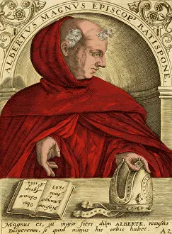 Bishop Prints: Albertus Magnus, Medieval Philosopher
