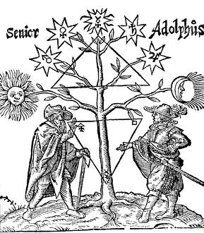 Alchemical Prints: Alchemical Celestial Tree