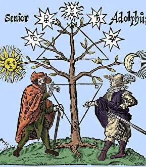 Alchemical Prints: Alchemical Celestial Tree