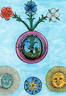 Pseudoscience Prints: Alchemy Illustration