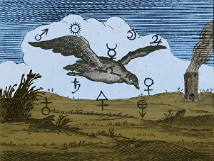 Pseudoscience Prints: Alchemy Illustration