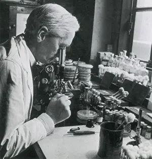 Alexander Prints: Alexander Fleming, Scottish Biologist