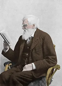 Evolution Prints: Alfred Russel Wallace, Welsh Naturalist