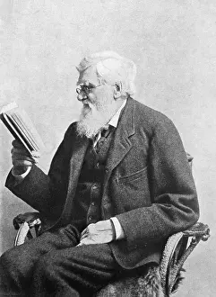 Evolution Prints: Alfred Russel Wallace, Welsh Naturalist