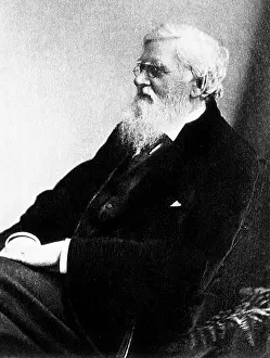 Fathers Prints: Alfred Russel Wallace, Welsh Naturalist