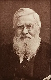 Author Prints: Alfred Russel Wallace, Welsh Naturalist