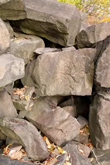 Rats Prints: Allegheny Woodrat Habitat