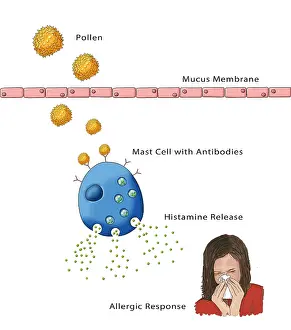 Membranes Prints: Allergic Response, Illustration