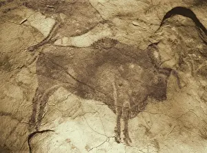 Tourist Prints: Altamira Cave Paintings