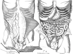 Nouvelles Prints: Ame Bourdon, 'Nouvelles tables anatomiques', 1678