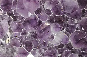 Stone Prints: Amethyst